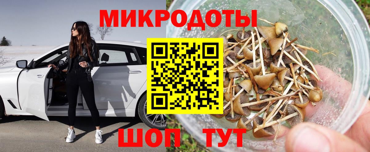 как найти закладки  Вход с VPN  Троицк  Галлюциногенные грибы MAGIC MUSHROOMS  Псилоцибиновые грибы Psilocybe 